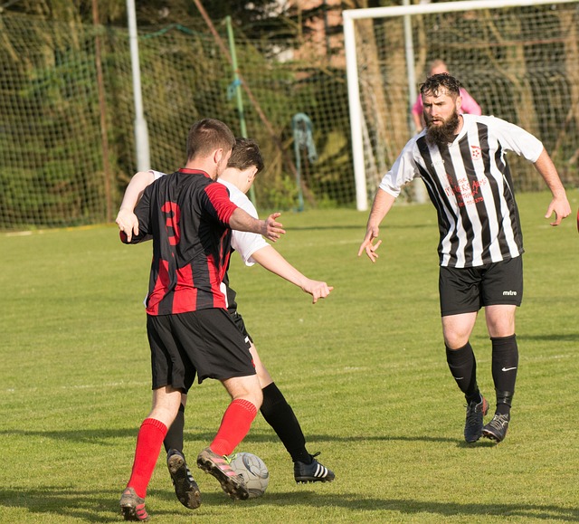 的出色表现 的出色表现