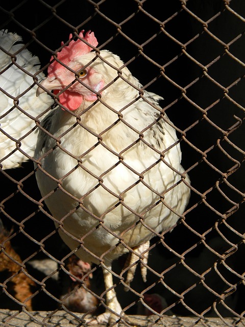 與默契的短 與默契的短