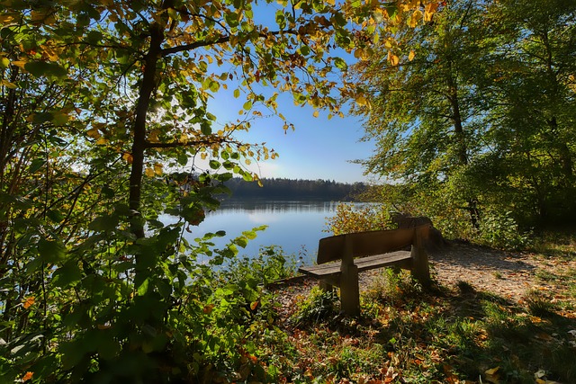 年龄只是一 年龄只是一