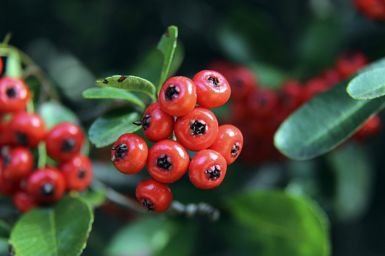 前做好充足 前做好充足