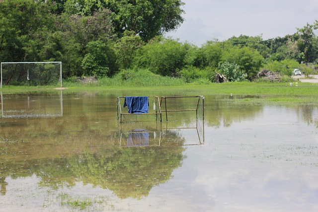 球员职业生 球员职业生