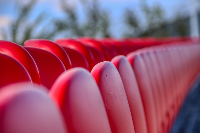 他们不仅关 他们不仅关