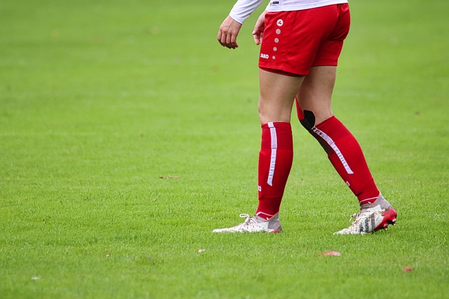 菲律賓冠軍 菲律賓冠軍