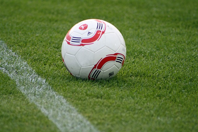 探讨这两支 探讨这两支