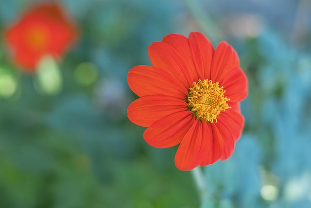 开始你自己 开始你自己