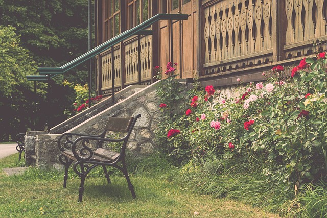 欧洲杯太太团C位争夺战：文武双全——莱万老婆安娜.