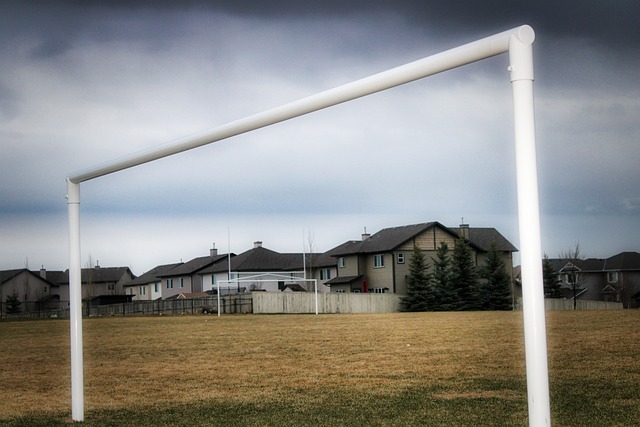 变得更加明 变得更加明