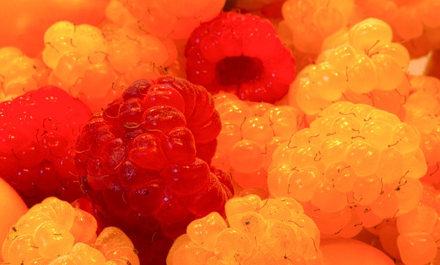 的生活节奏 的生活节奏