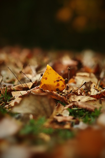 近6年英超球員進球＋助攻數排名：薩拉赫、孫凱三甲！.